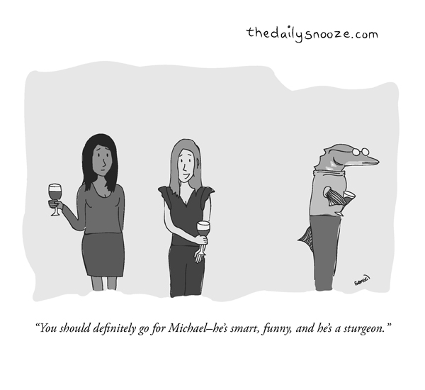 cartoon - ... he's smart, funny, and he's a sturgeon